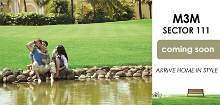 M3M Sector 111