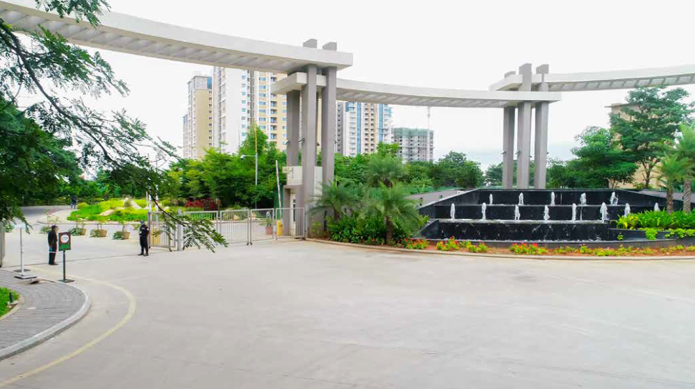 Phenomenal Grand Entrance